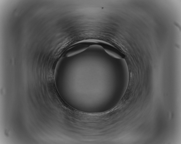 X0000091590048200708271253