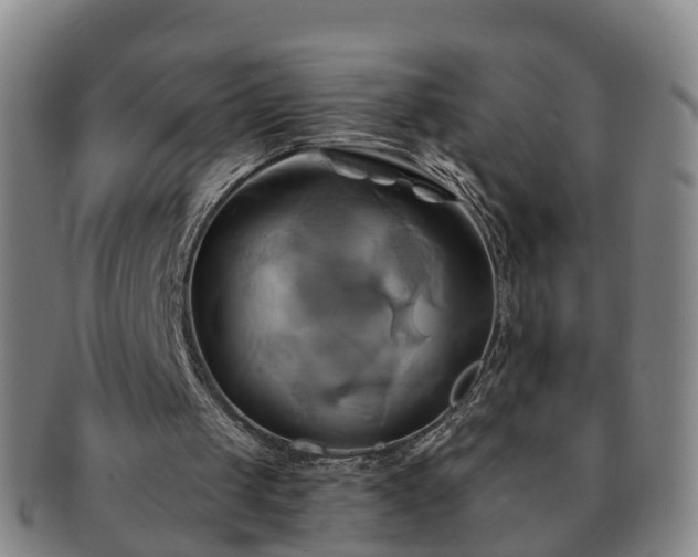 X0000091590049200708271252