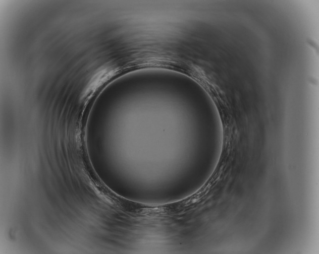 X0000091590050200708271252