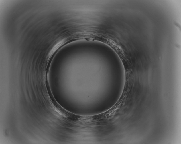 X0000091590051200708271252
