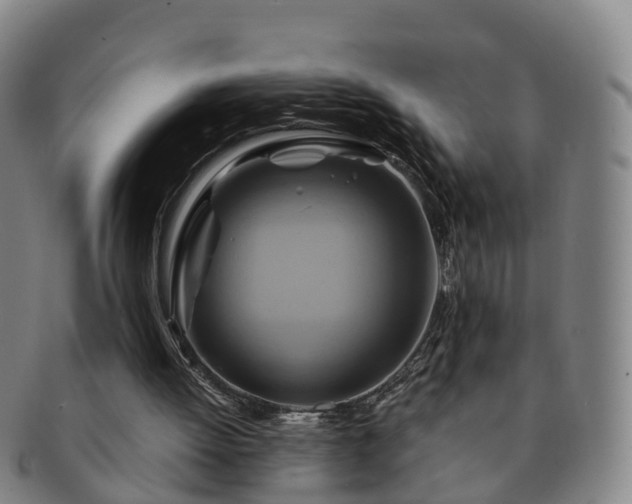 X0000091590052200708271253