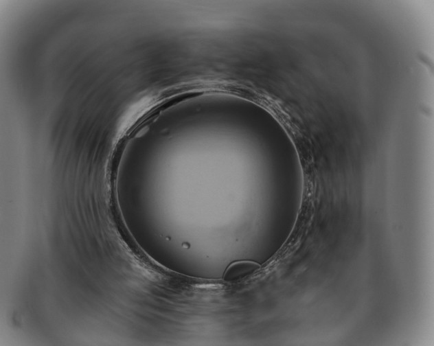 X0000091590053200708271253