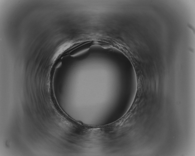 X0000091590054200708271253