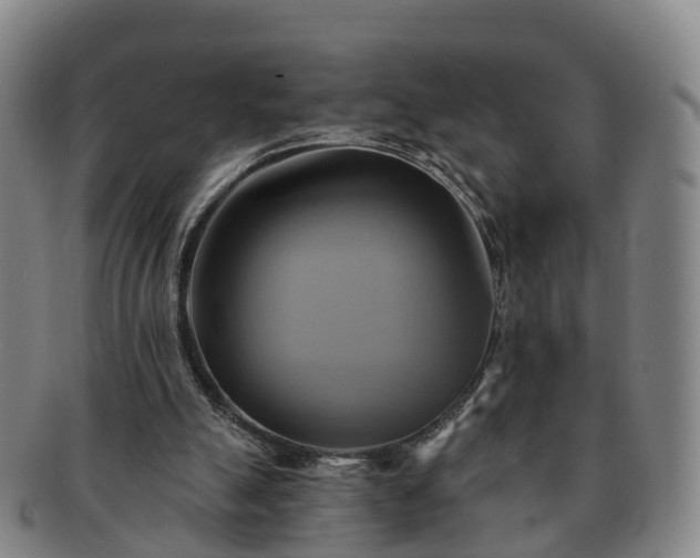 X0000091590055200708271253