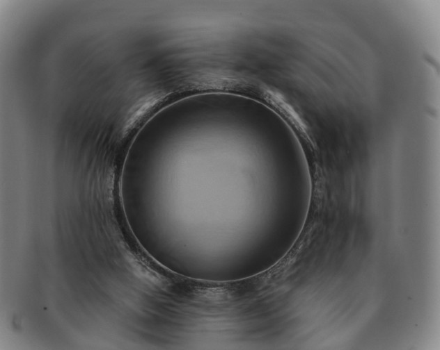 X0000091590058200708271253