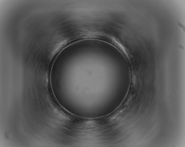 X0000091590059200708271253