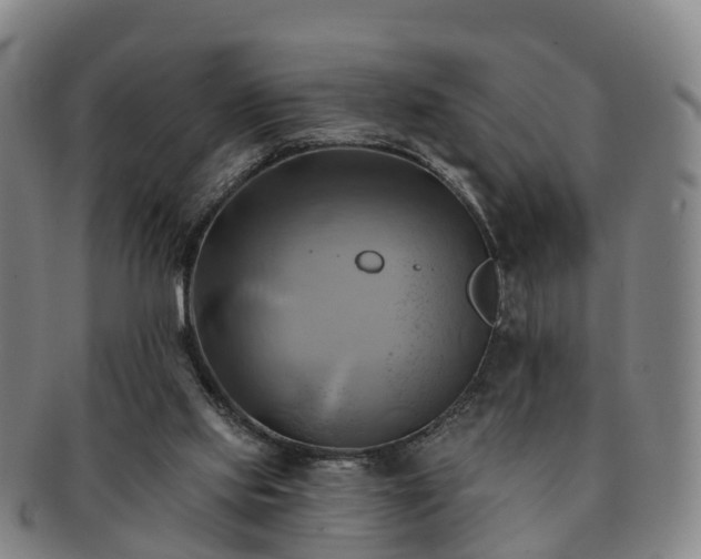 X0000091590061200708271253