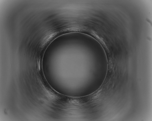 X0000091590062200708271253