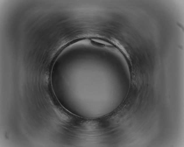 X0000091590063200708271253