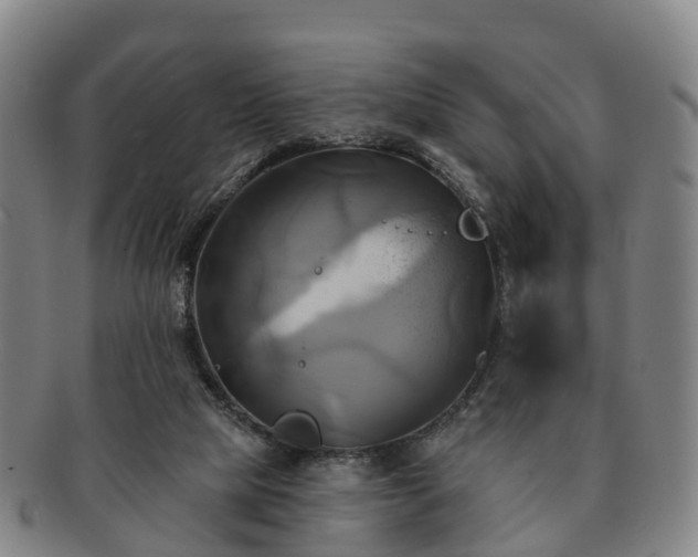 X0000091590065200708271253