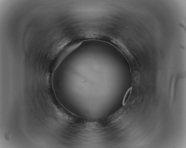 X0000091590066200708271253