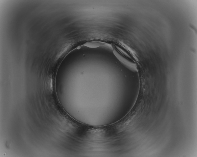 X0000091590067200708271253