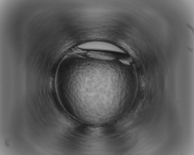 X0000091590071200708271253