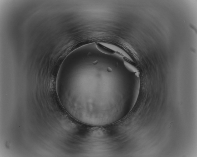 X0000091590073200708271253