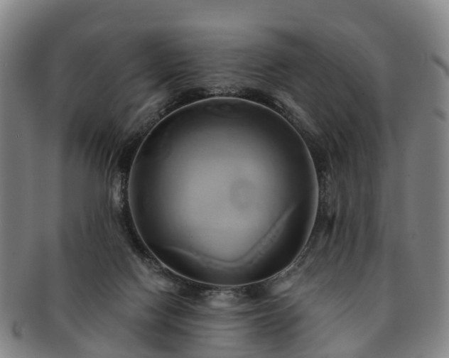 X0000091590074200708271253