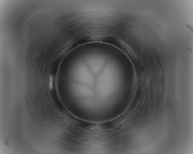 X0000091590075200708271253