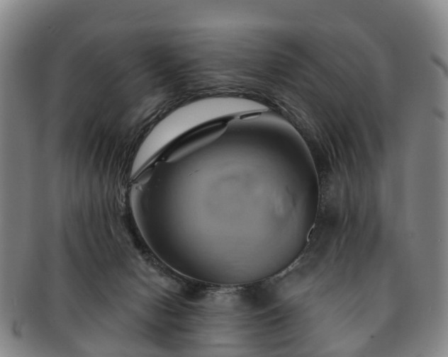 X0000091590078200708271253