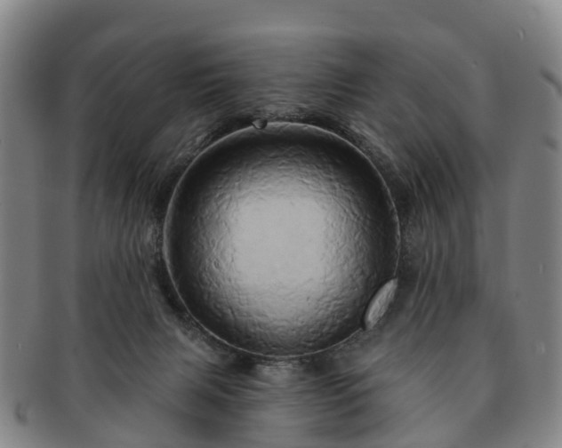 X0000091590079200708271253