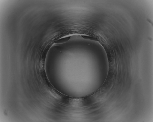 X0000091590081200708271253