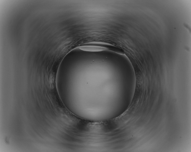 X0000091590082200708271253