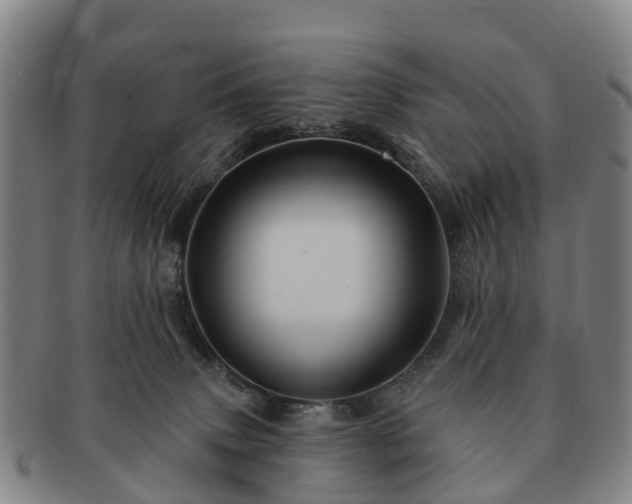 X0000091590083200708271253