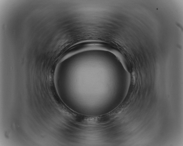 X0000091590084200708271253
