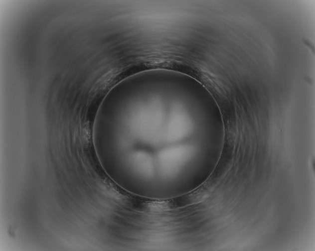 X0000091590085200708271253