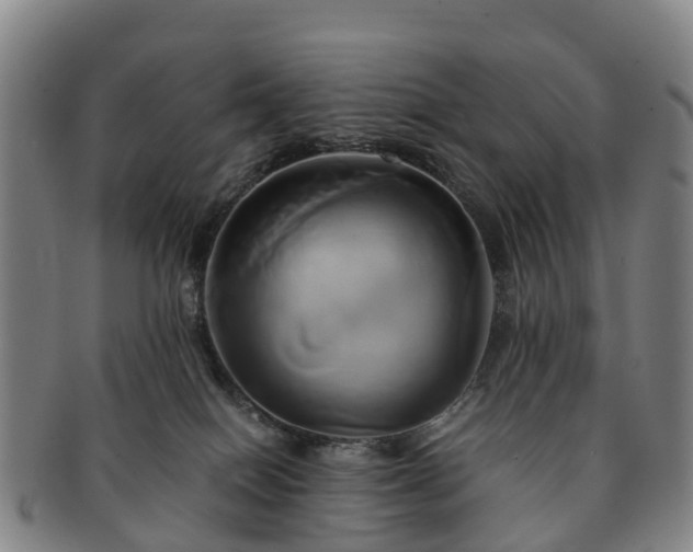 X0000091590086200708271253