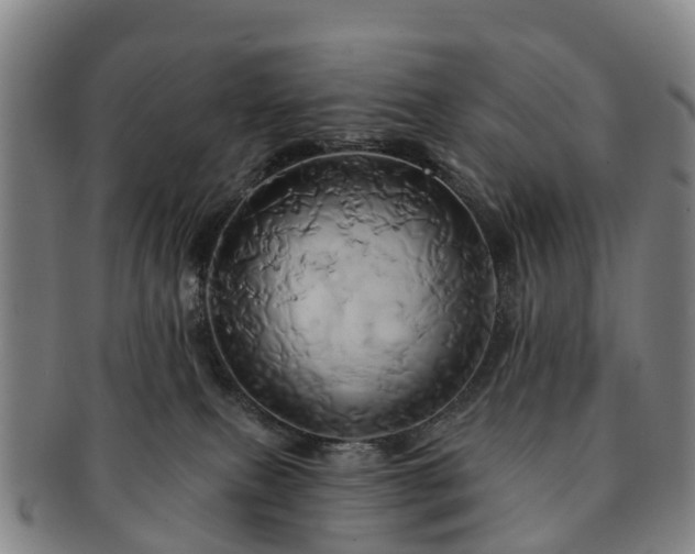 X0000091590087200708271253