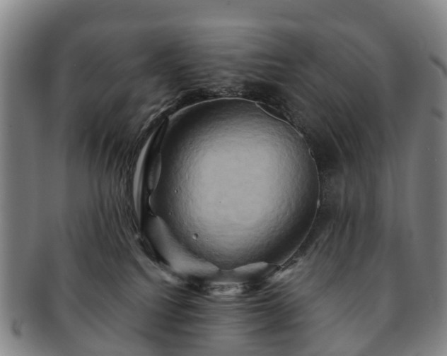 X0000091590088200708271253