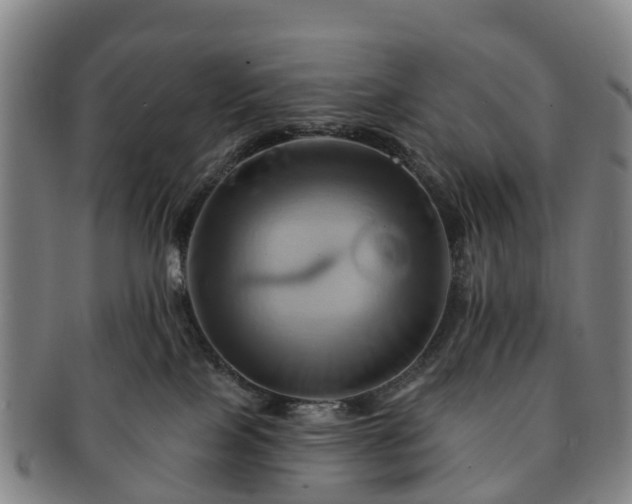X0000091590089200708271253