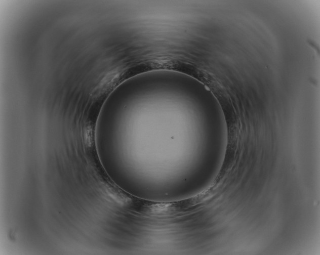 X0000091590090200708271253