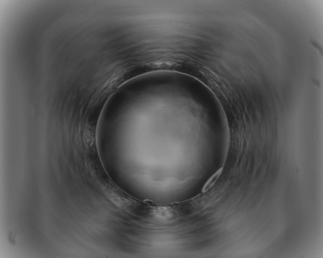 X0000091590091200708271253