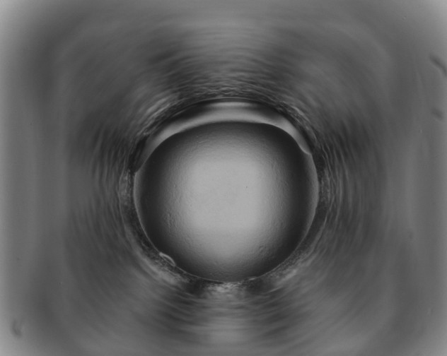 X0000091590092200708271253