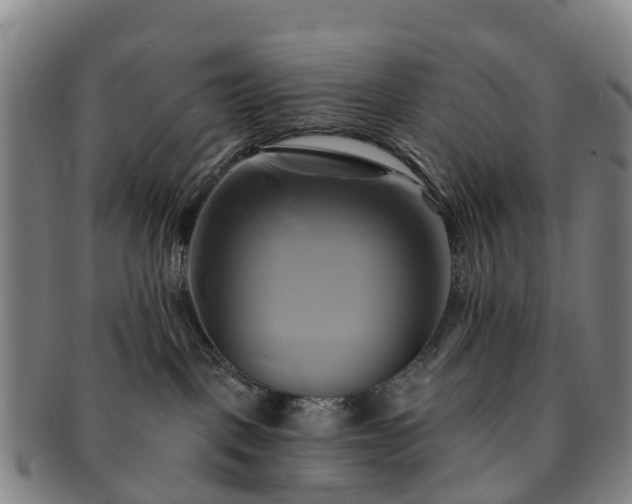 X0000091590093200708271253