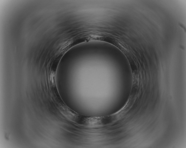 X0000091590094200708271253