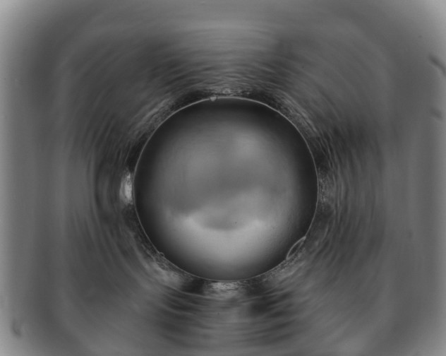 X0000091590095200708271253