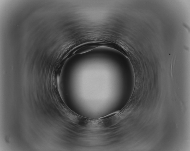 X0000091590096200708271253