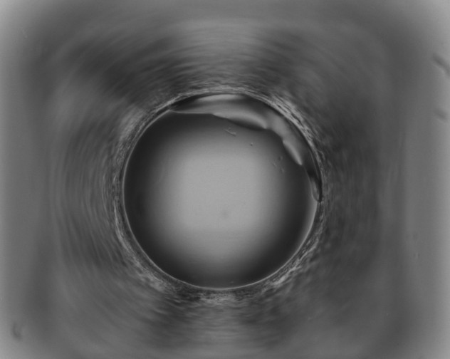 X0000091590097200708271252