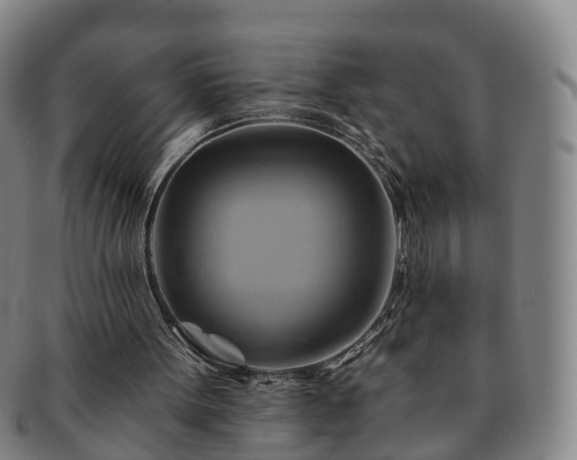 X0000091590099200708271252