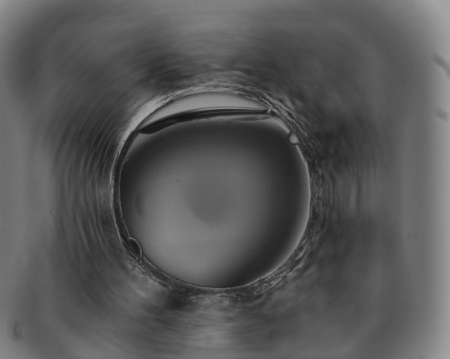 X0000091590100200708271252
