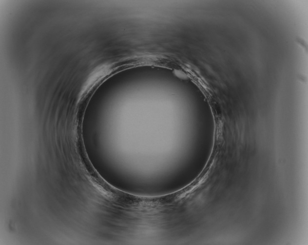 X0000091590101200708271252