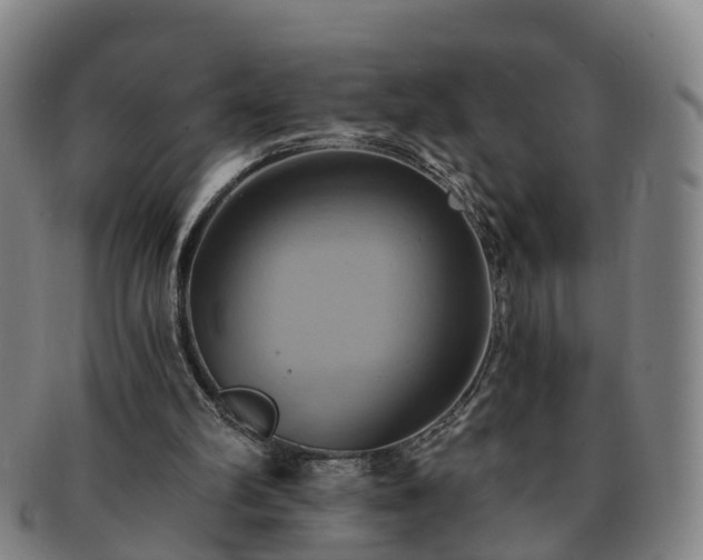 X0000091590102200708271252
