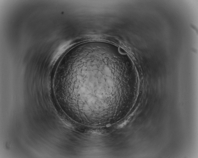 X0000091590103200708271252