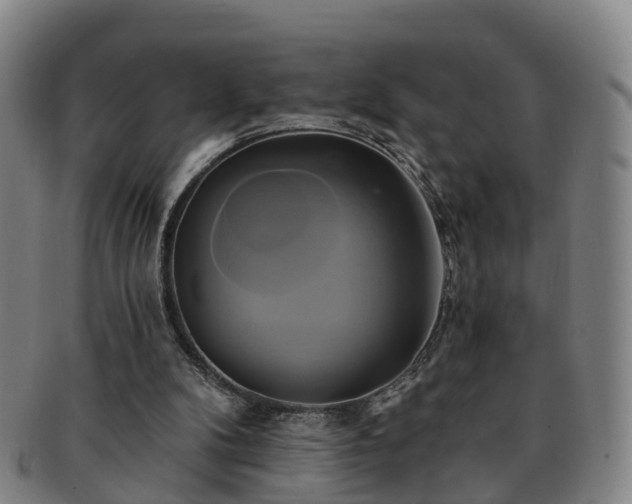X0000091590104200708271252