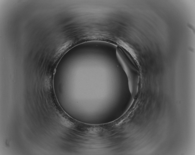 X0000091590105200708271252