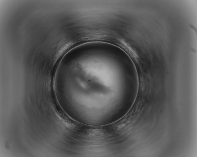 X0000091590107200708271252