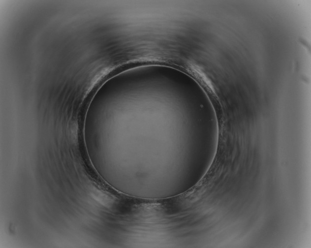 X0000091590108200708271252
