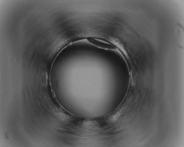 X0000091590109200708271252