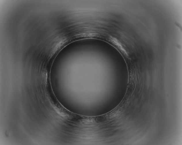 X0000091590110200708271252
